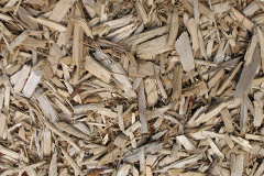 biomass boilers Talaton